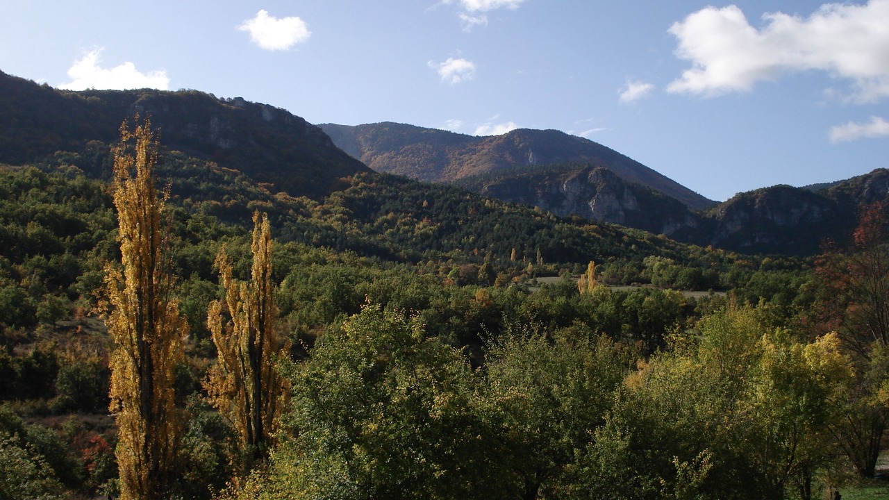Photo of Others in Chateauneuf-Miravail