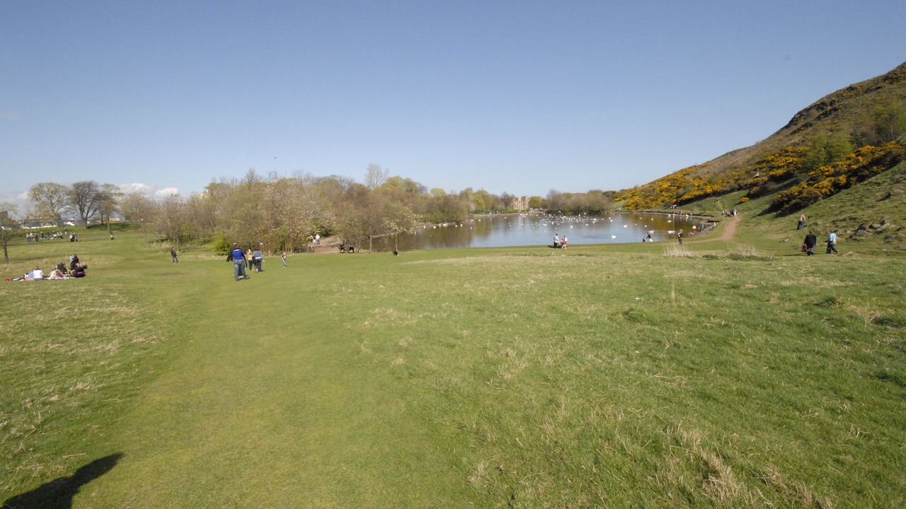 Photo of Others in Gifford