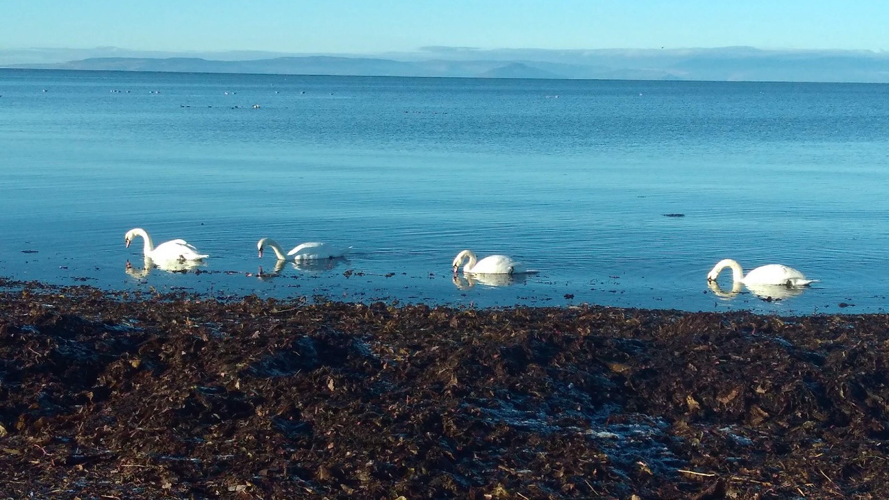Photo of Outdoor in Ayr
