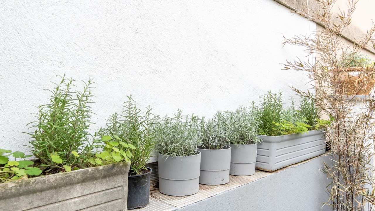 Photo of Patio Balcony in 4th Arrondissement
