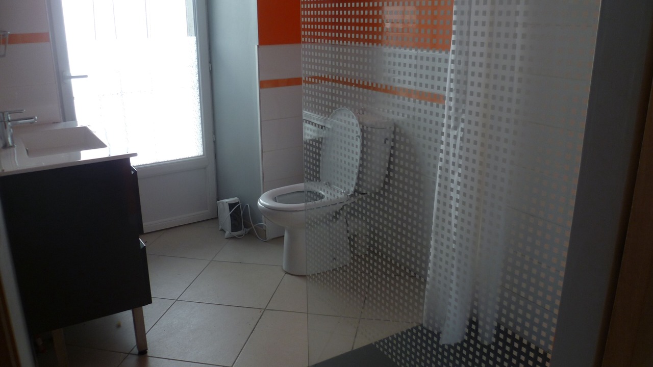 Photo of Bathroom in Curvalle