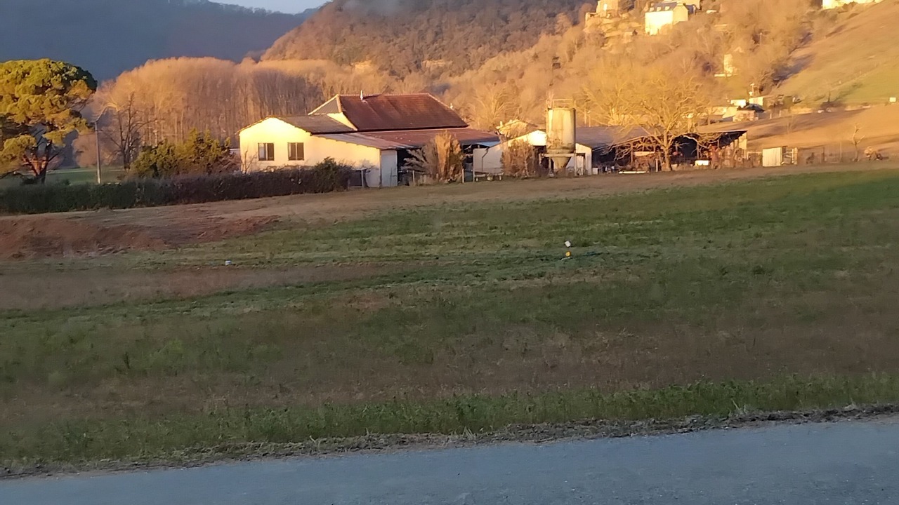 Photo of Others in Curvalle