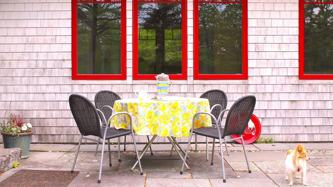 Photo of Others in Sedgwick