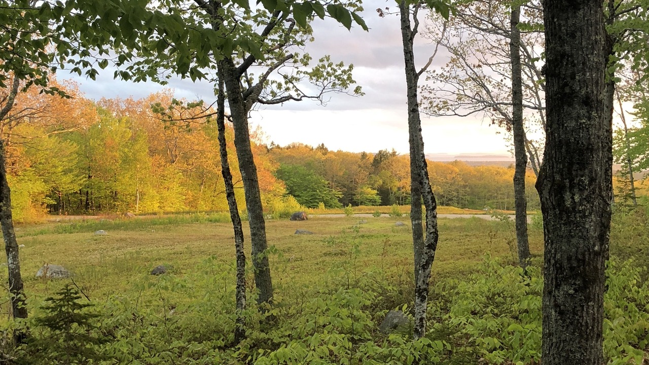 Photo of Others in Sedgwick