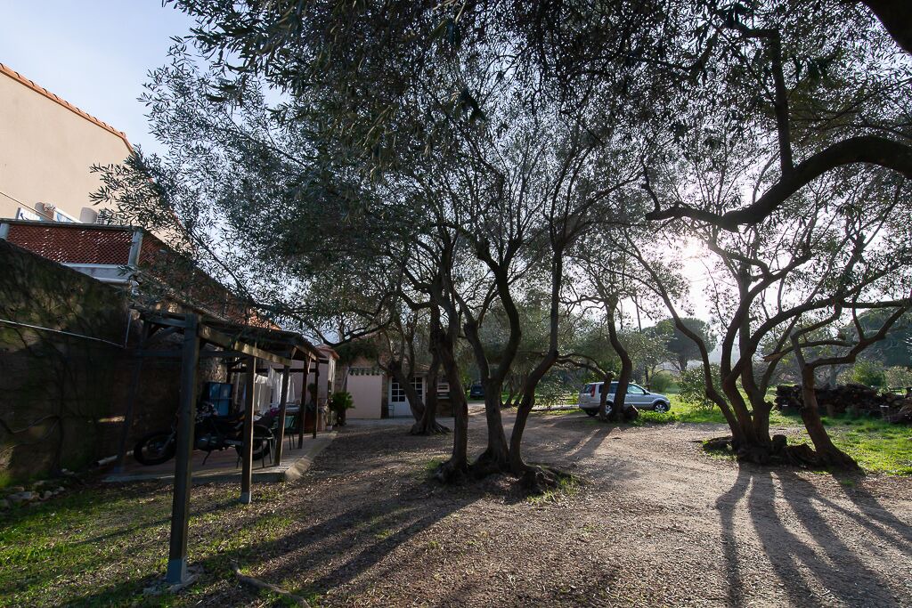 Photo of Outdoor in Argeles-sur-Mer