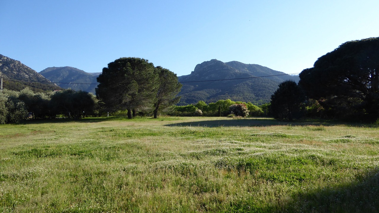 Photo of Outdoor in Argeles-sur-Mer