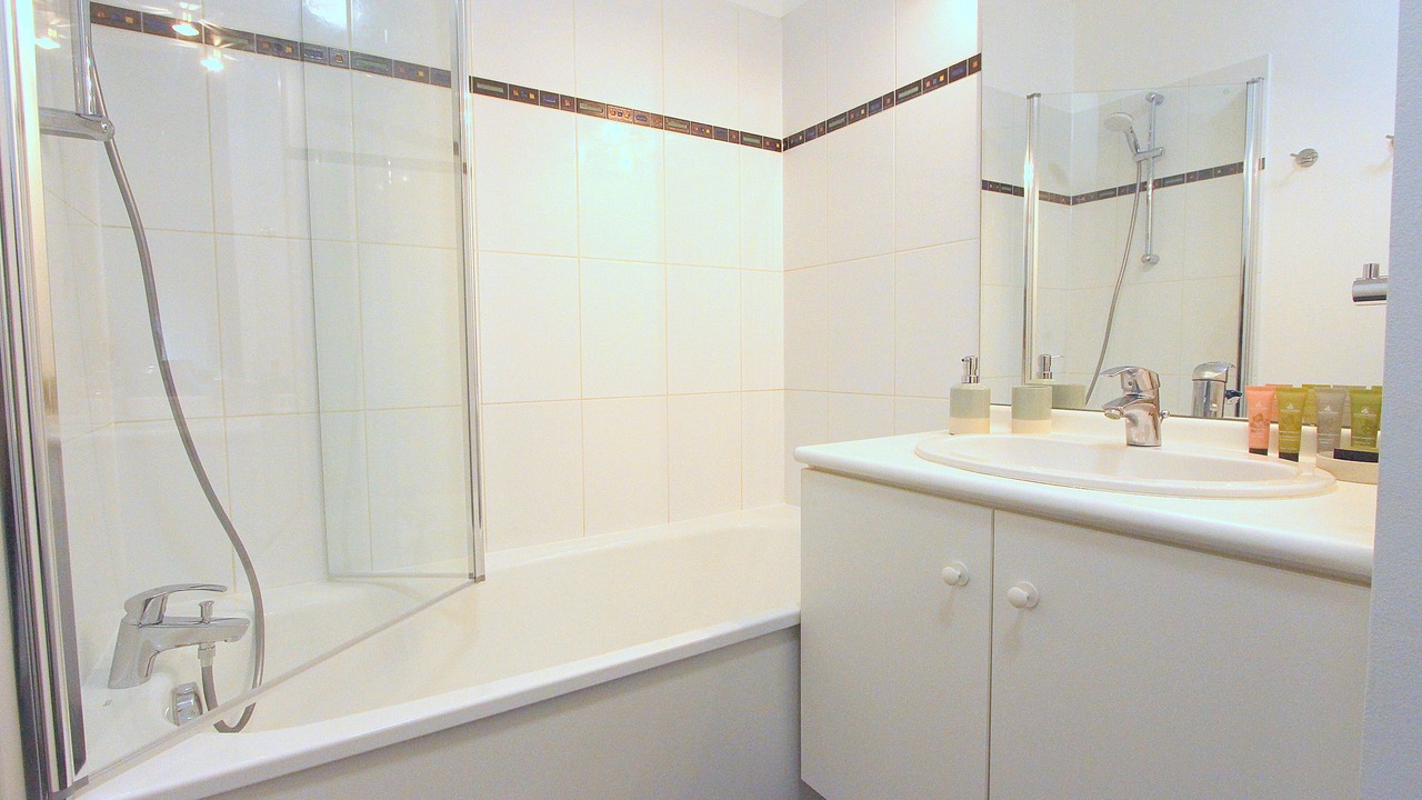 Photo of Bathroom in Serris