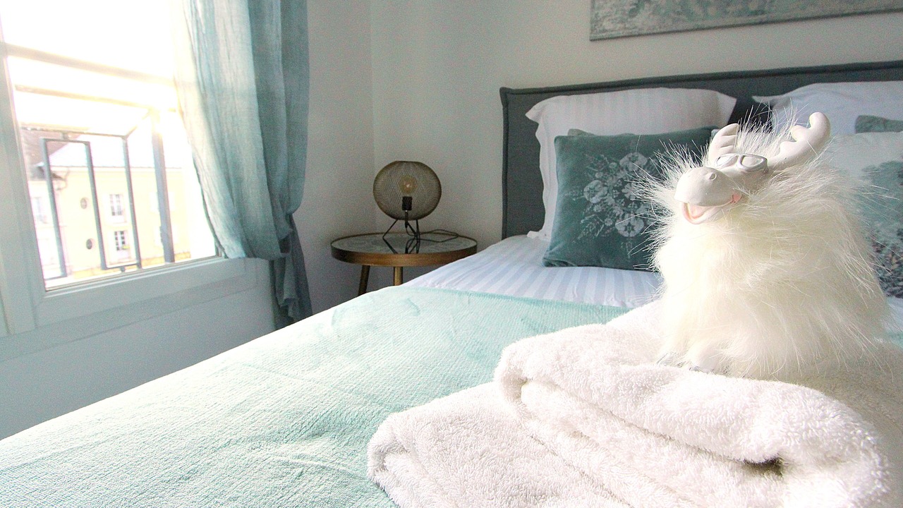 Photo of Bedroom in Serris