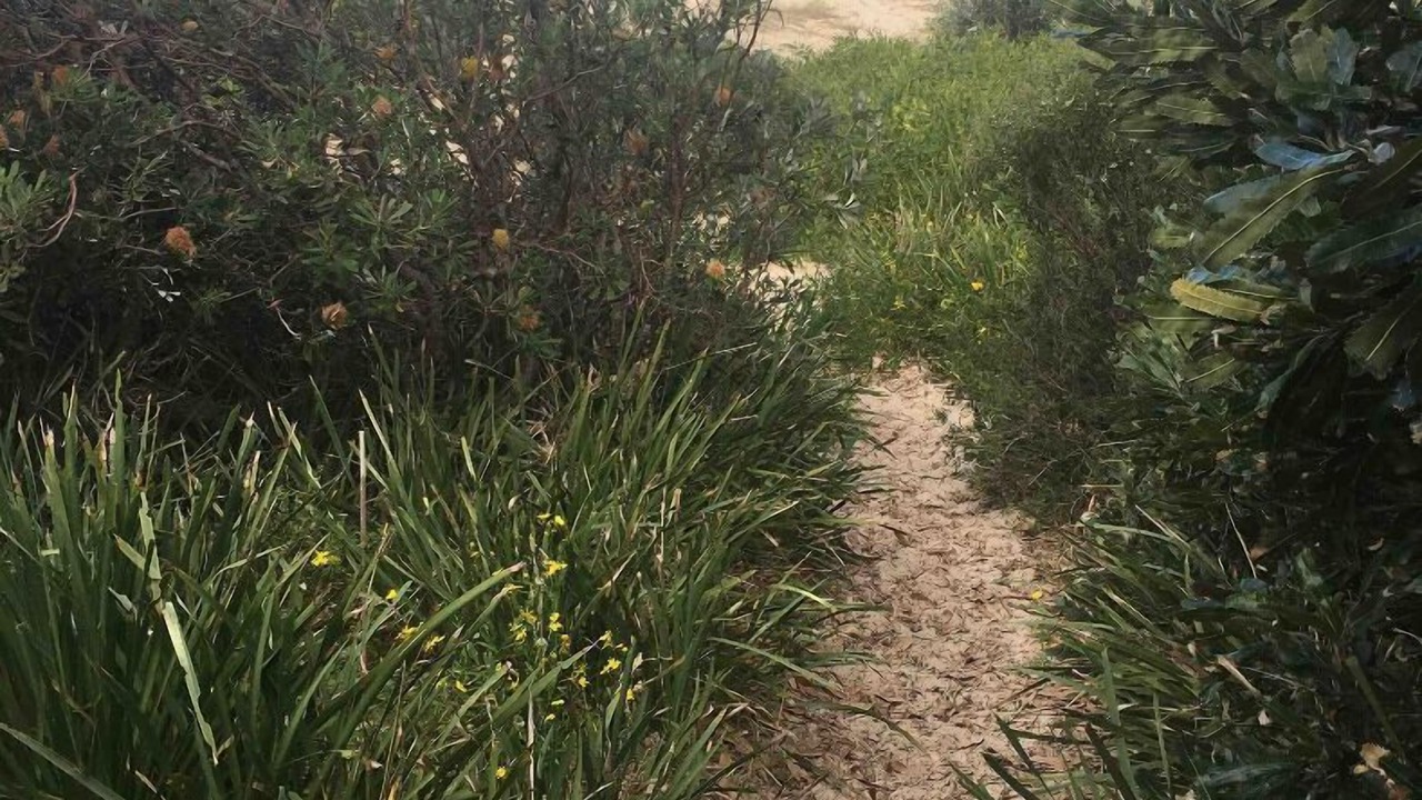 Photo of Others in Blueys Beach