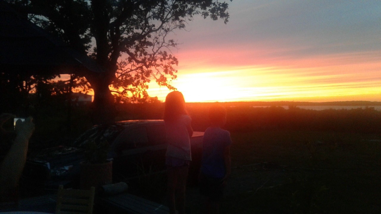 Photo of Outdoor in Flanders