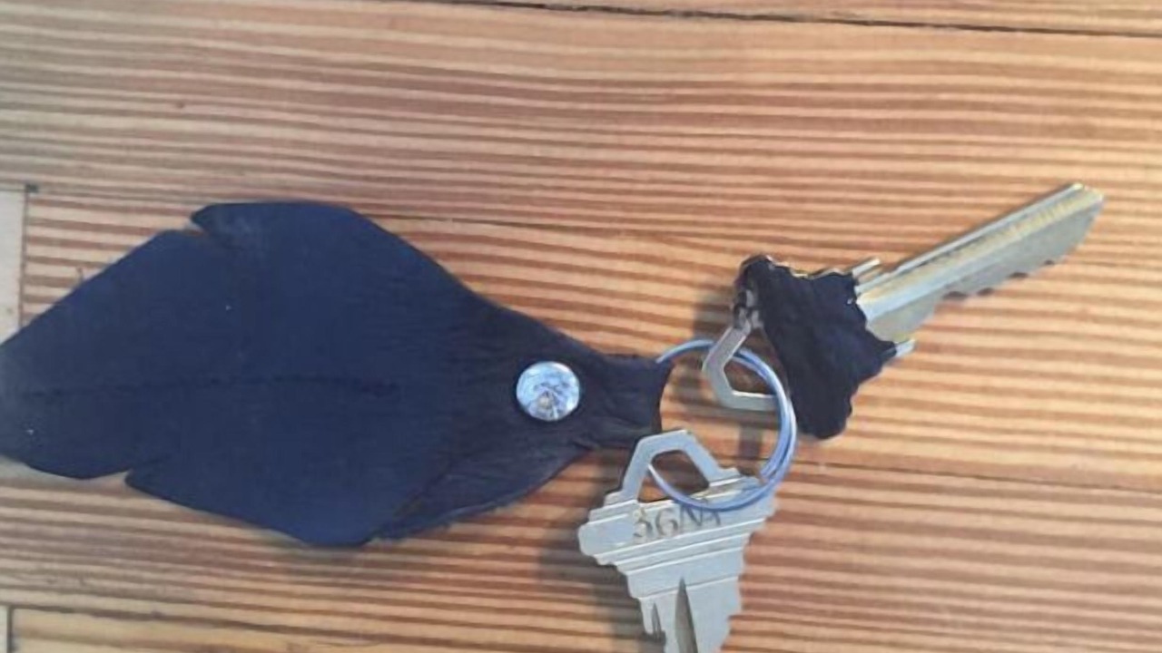 Photo of Others in Williamsport