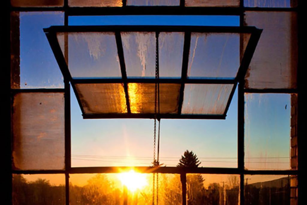 Photo of Others in Williamsport