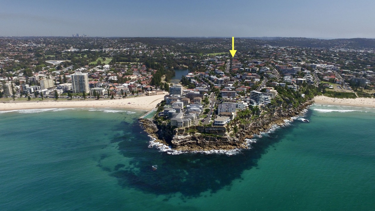 Photo of Others in Freshwater