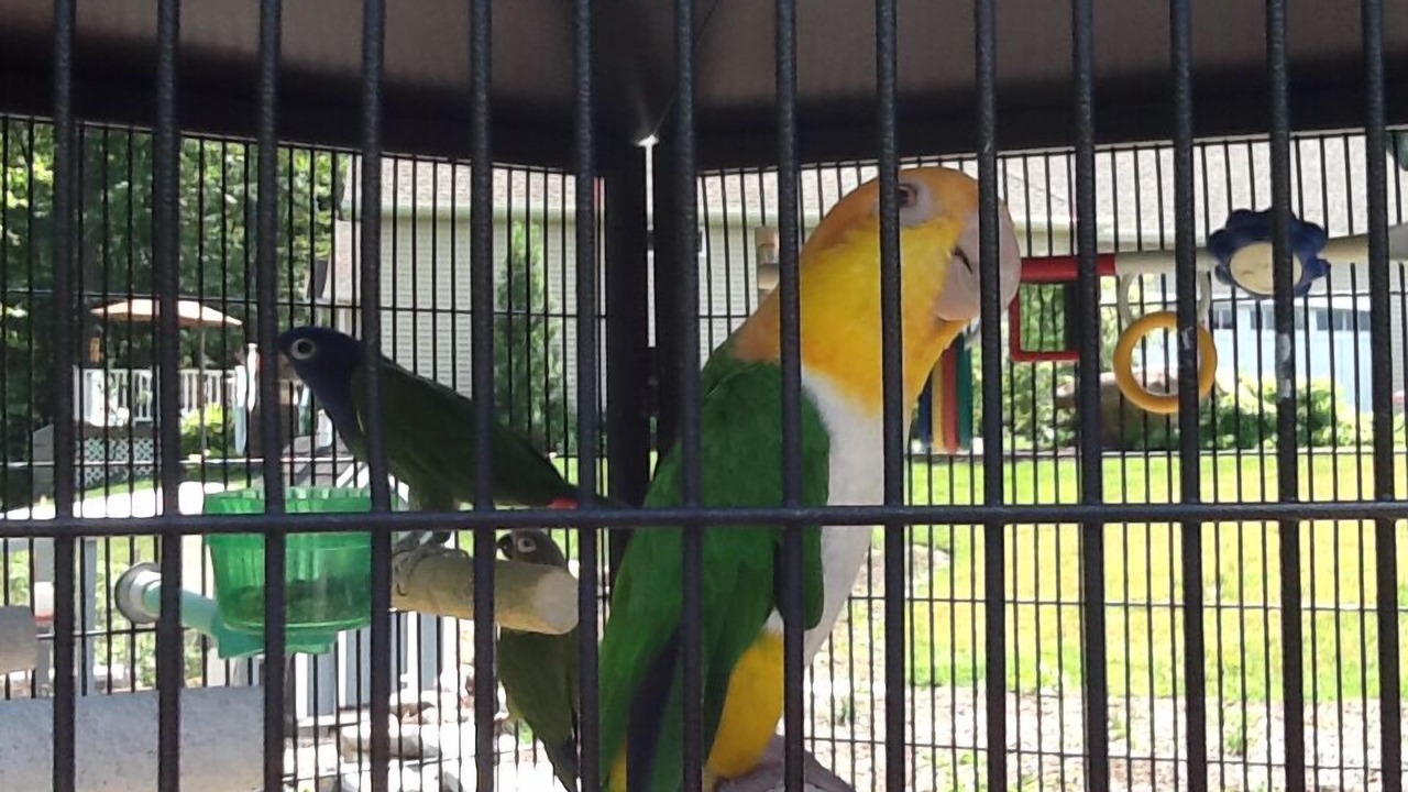 Photo of Others in Bloomfield