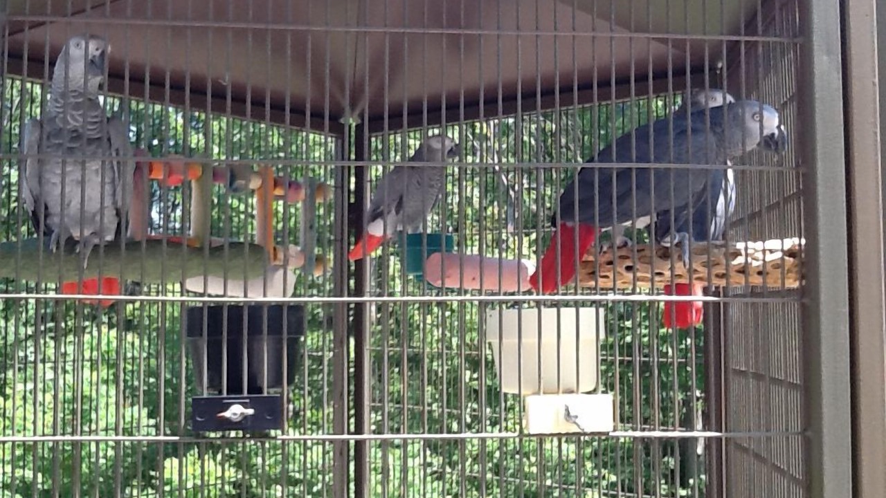 Photo of Others in Bloomfield