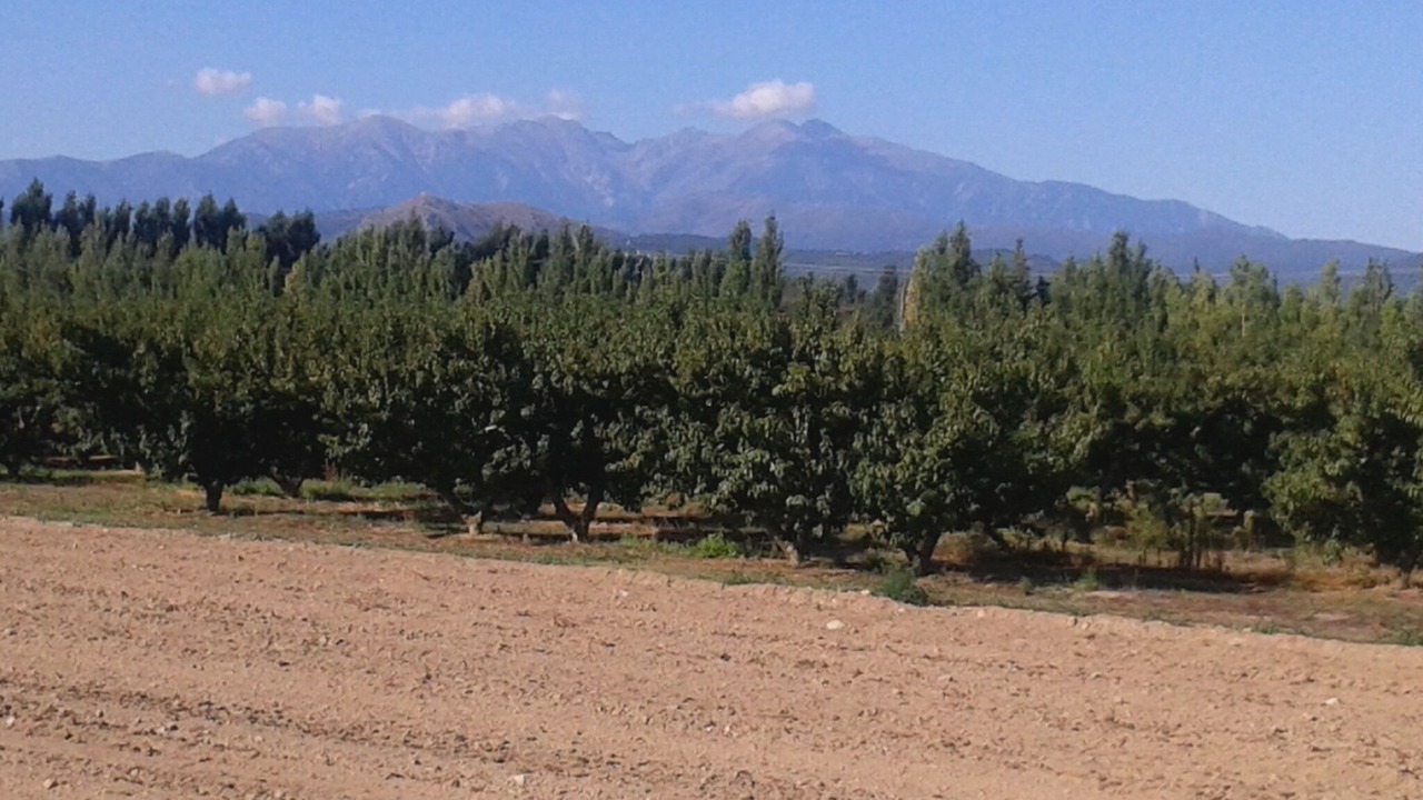 Photo of Others in Le Soler