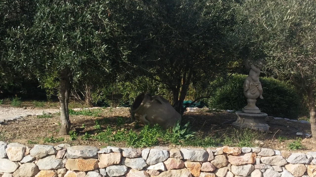 Photo of Outdoor in Le Soler