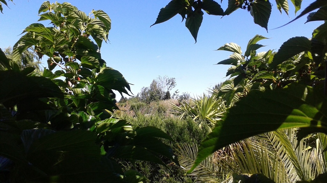 Photo of Outdoor in Le Soler