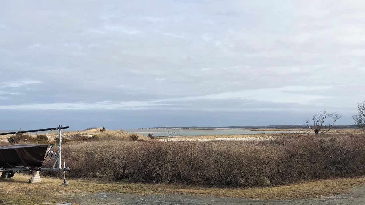 Photo of Others in Barnstable