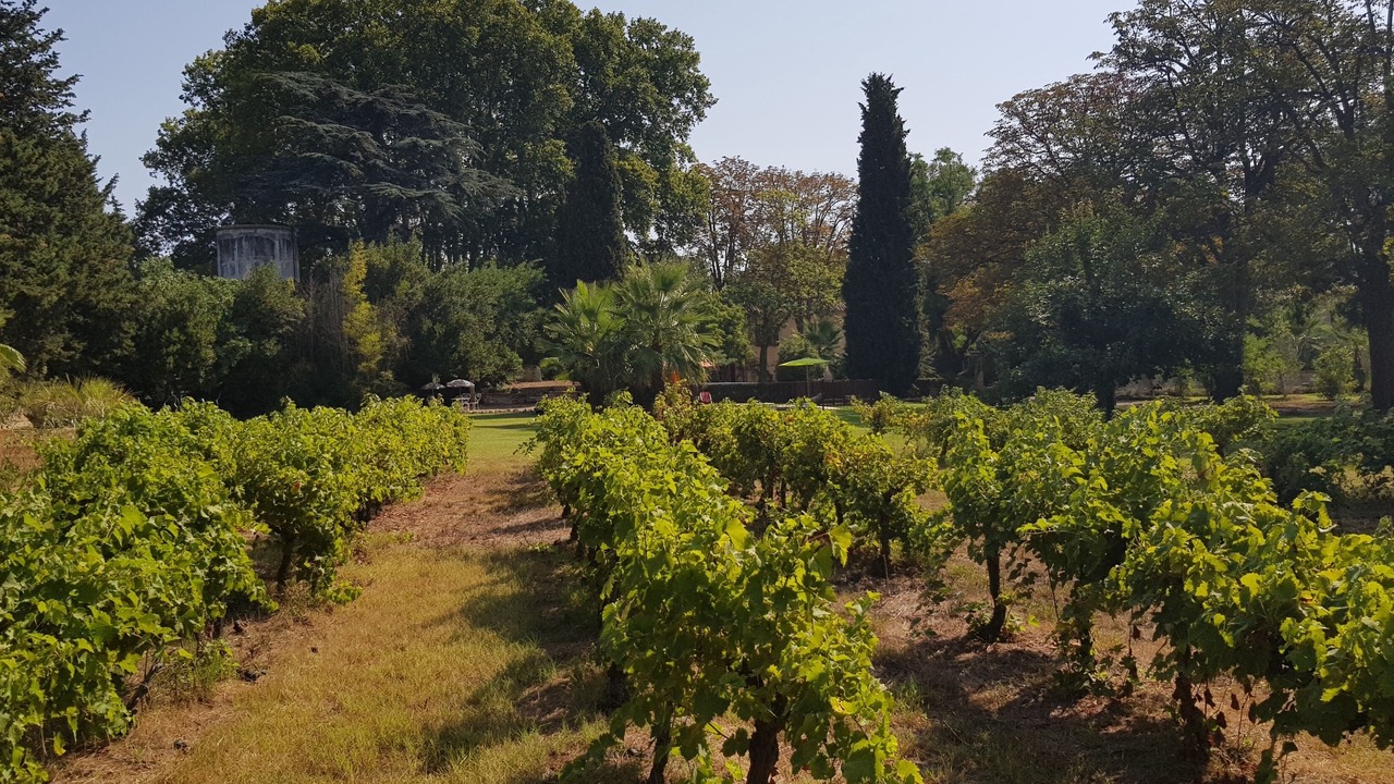 Photo of Outdoor in Aimargues