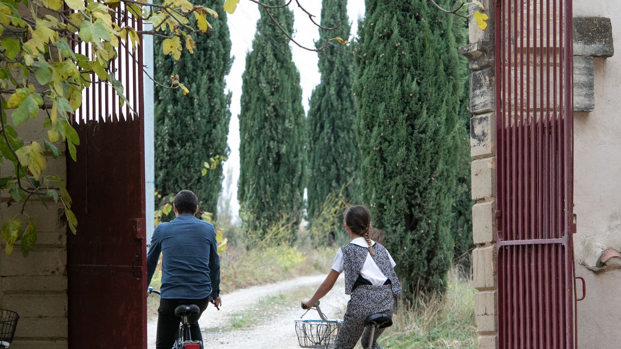 Photo of Outdoor in Aimargues