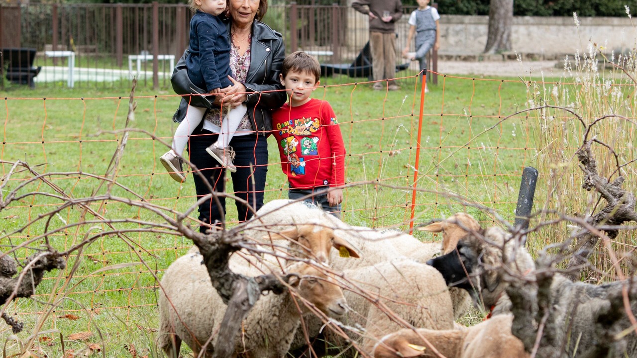 Photo of Others in Aimargues