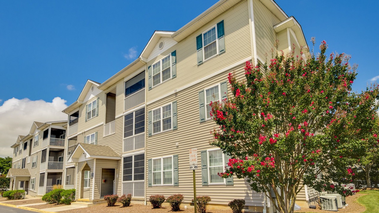 Photo of Outdoor in Rehoboth Beach
