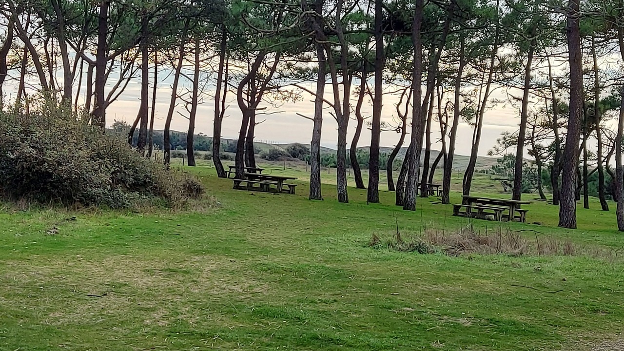 Photo of Outdoor in Brem Sur Mer