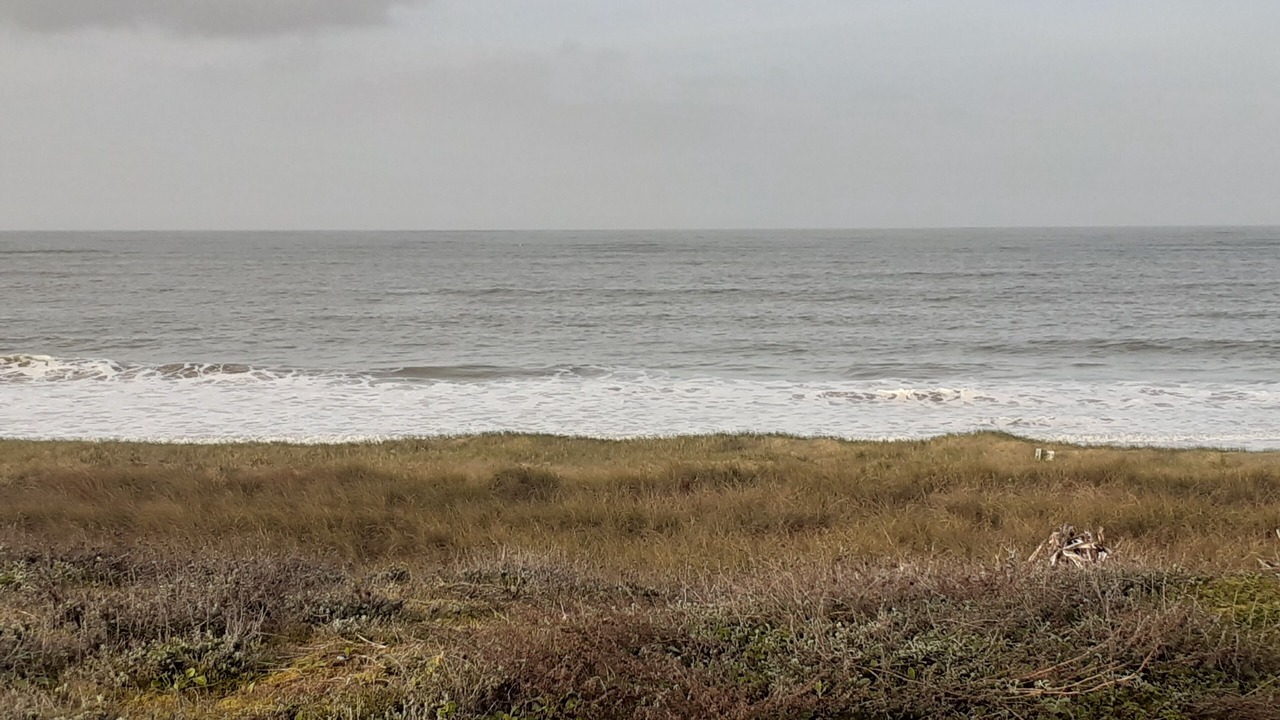 Photo of Others in Barbatre