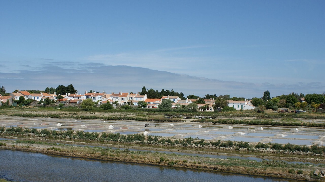 Photo of Others in Barbatre