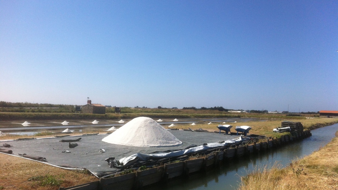 Photo of Outdoor in Barbatre