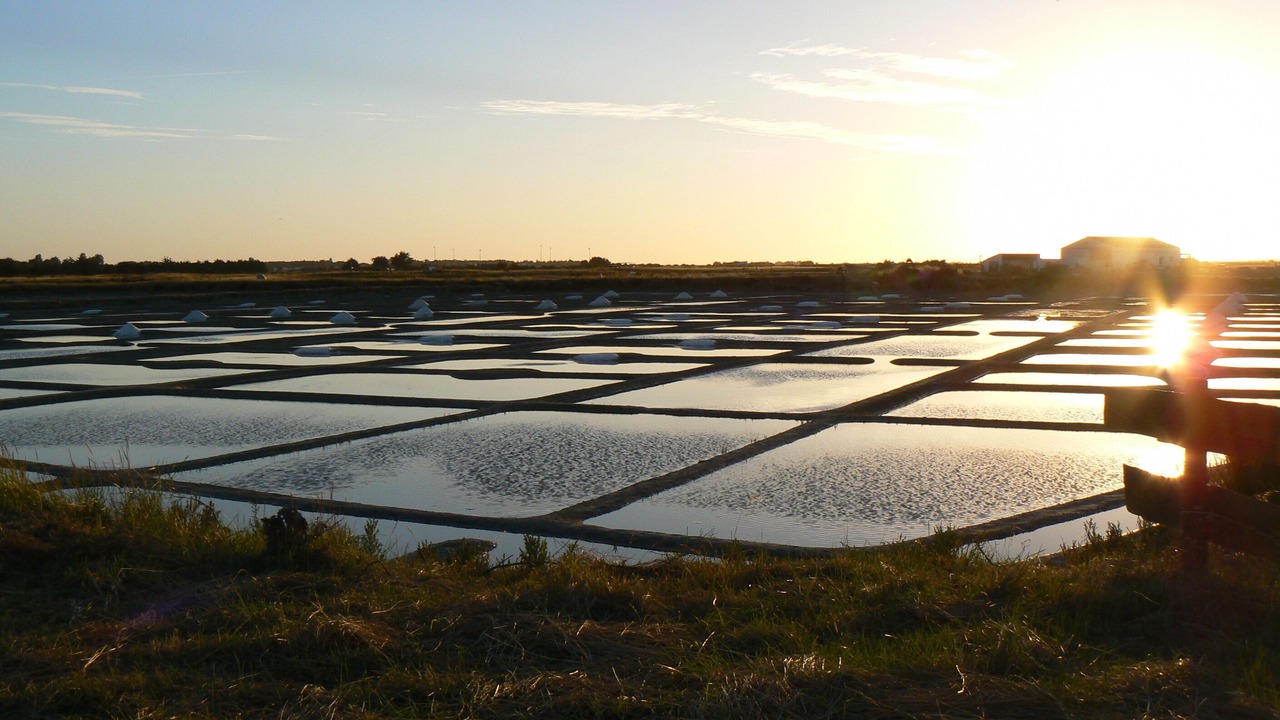 Photo of Others in Barbatre