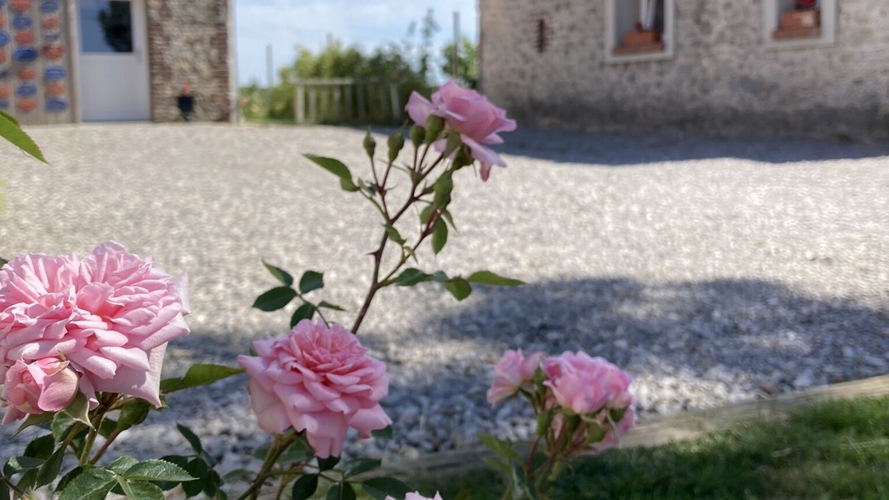 Photo of Outdoor in Caffiers