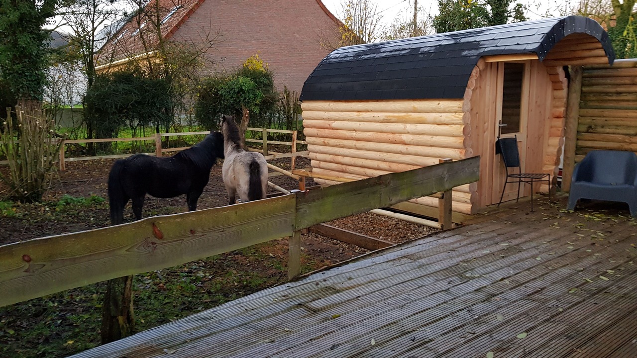 Photo of Outdoor in Saint-Martin-Choquel