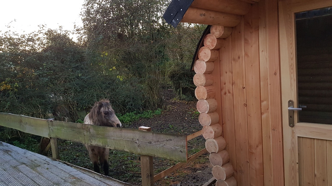 Photo of Outdoor in Saint-Martin-Choquel