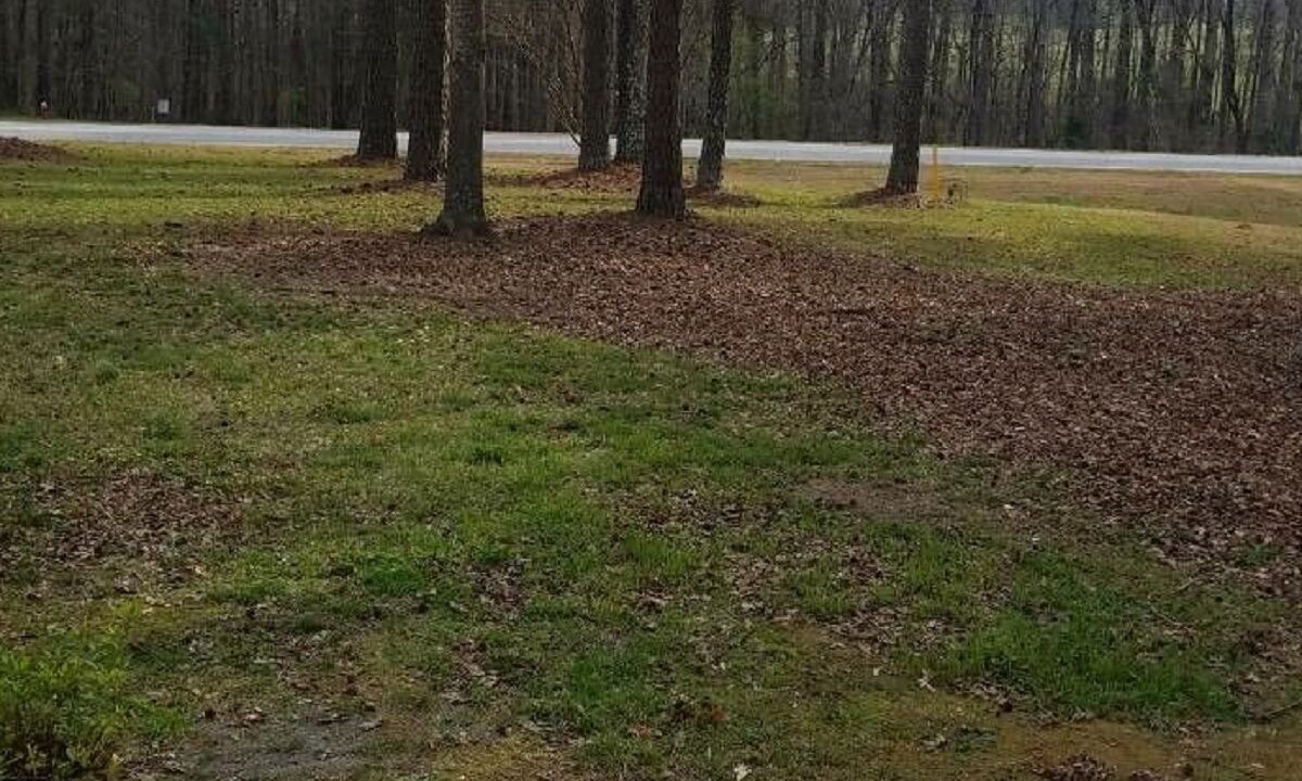 Photo of Outdoor in Rutledge