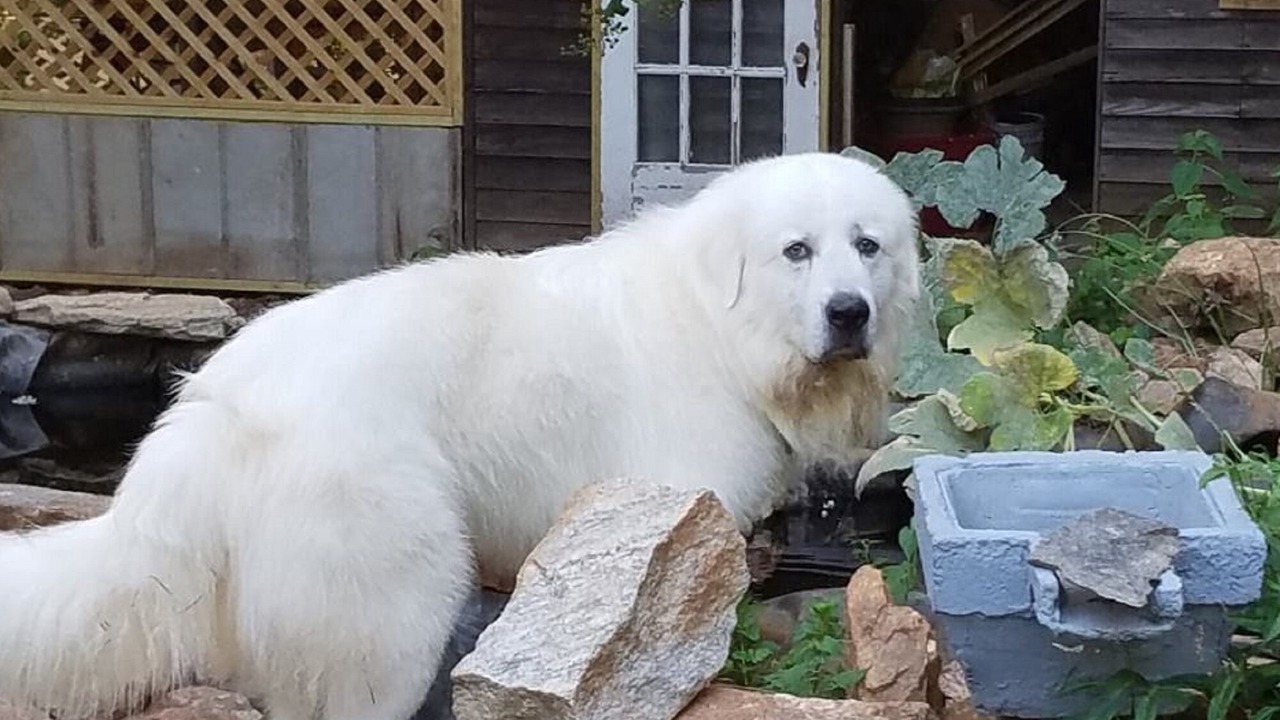 Photo of Others in Rutledge