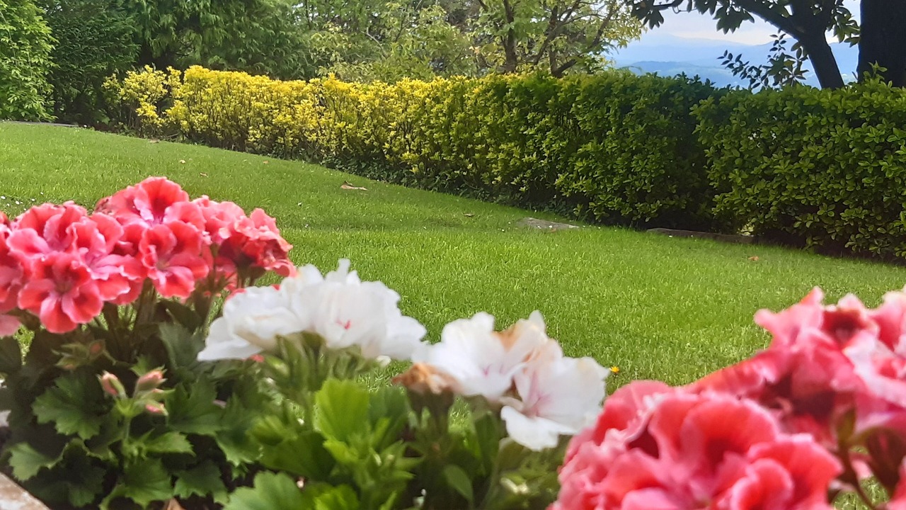 Photo of Outdoor in Berango