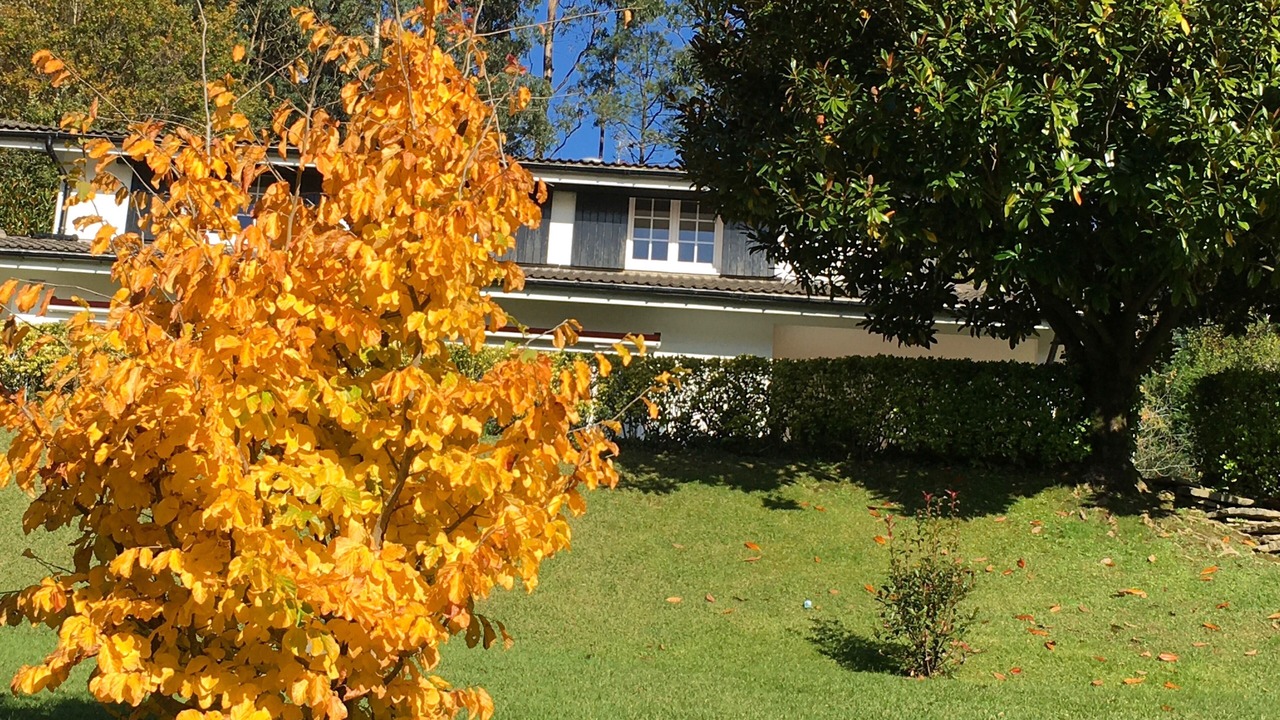Photo of Outdoor in Berango