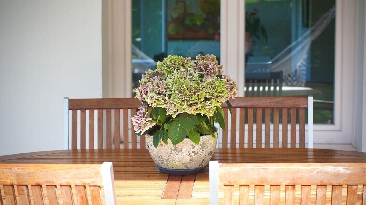 Photo of Outdoor in Berango