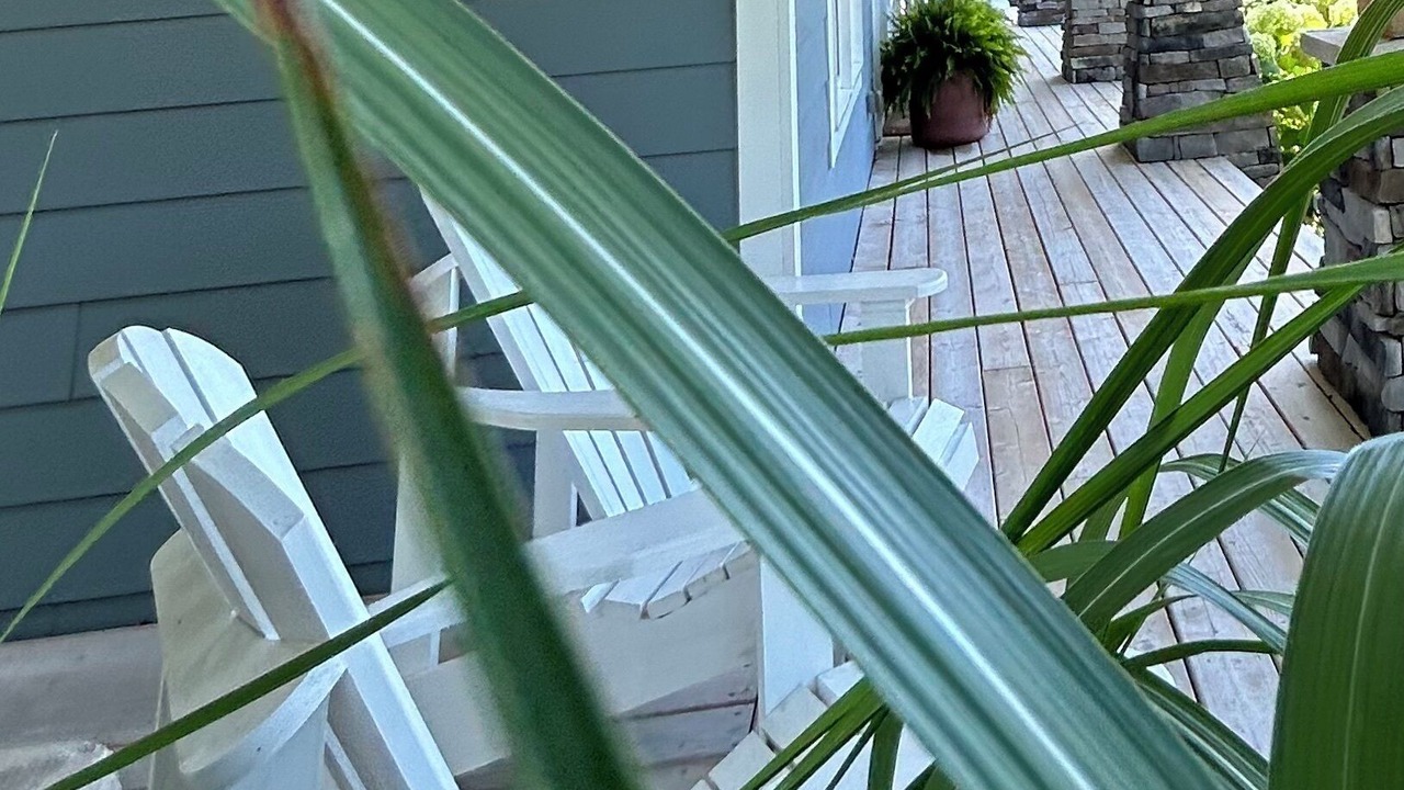 Photo of Patio Balcony in Bayfield
