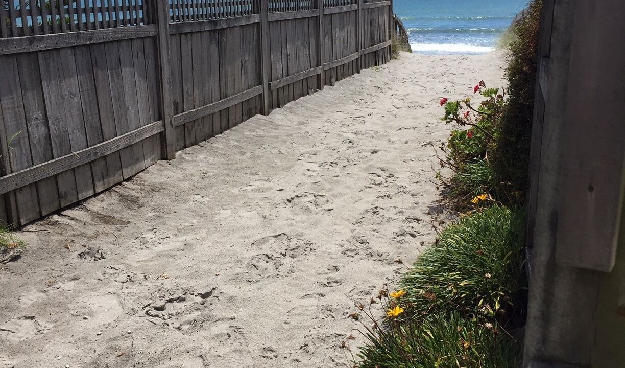 Photo of Others in Pukehina