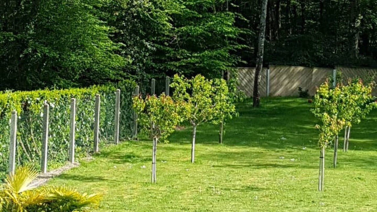 Photo of Outdoor in Veigne
