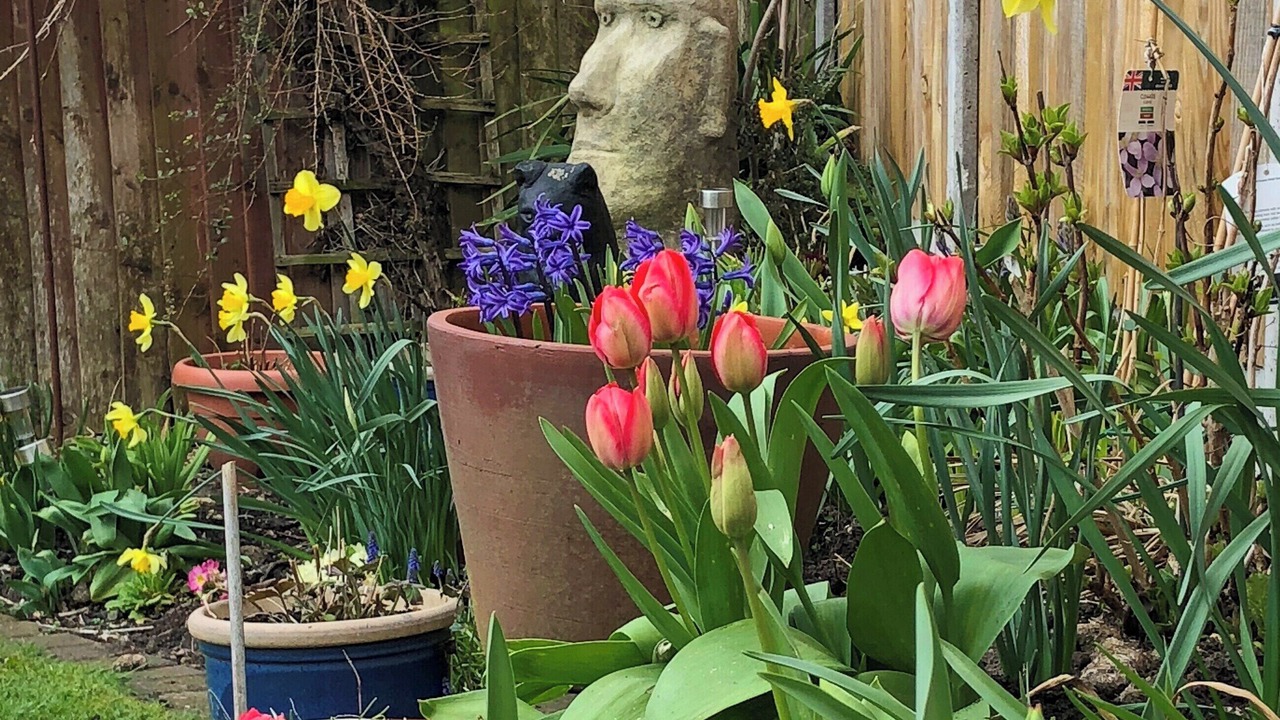 Photo of Outdoor in Diss