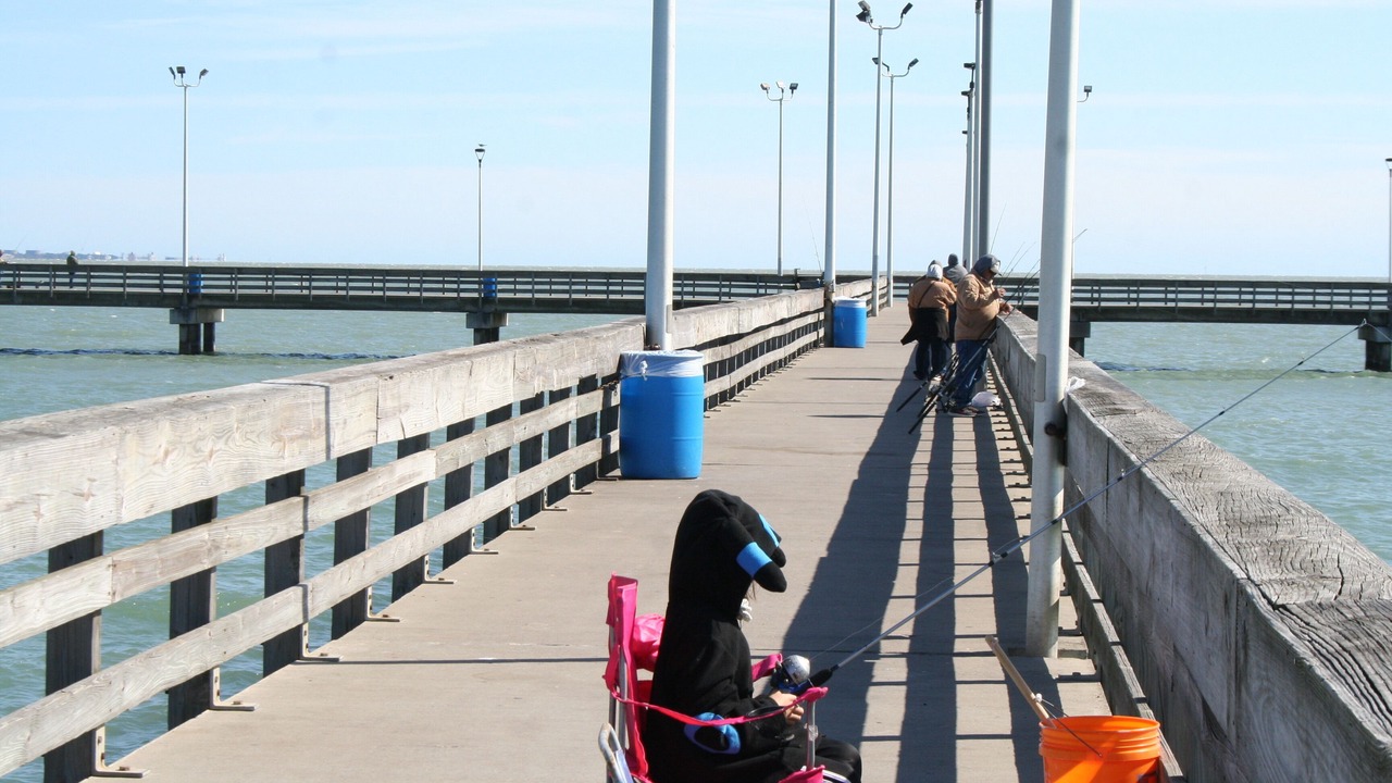 Photo of Others in North Beach
