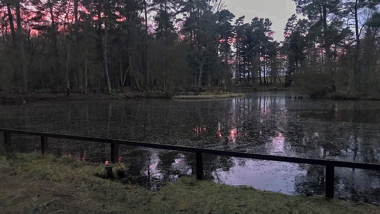 Photo of Others in Otterburn