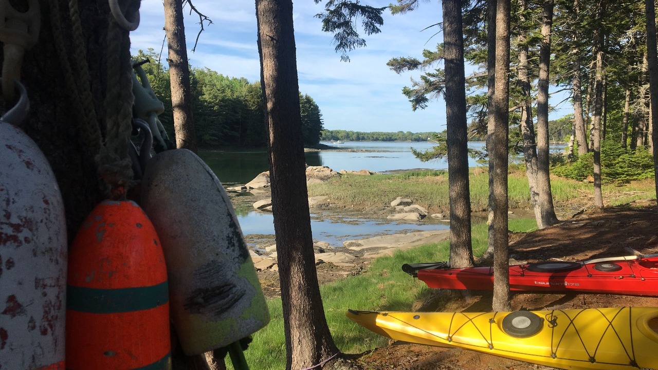 Photo of Others in Tenants Harbor