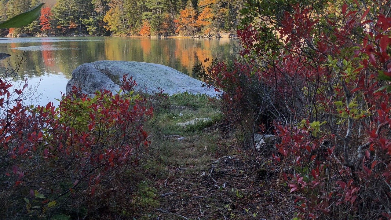 Photo of Others in Tenants Harbor