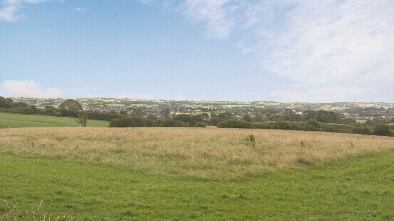 Photo of Others in Tunstall