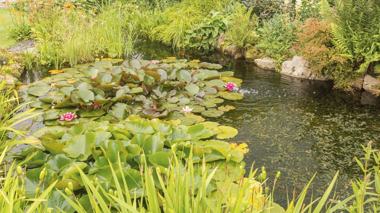 Photo of Outdoor in Tunstall